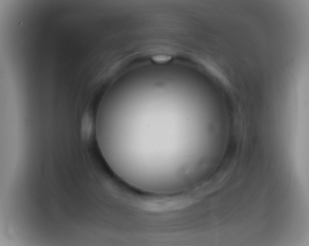 X0000113780021200909301158