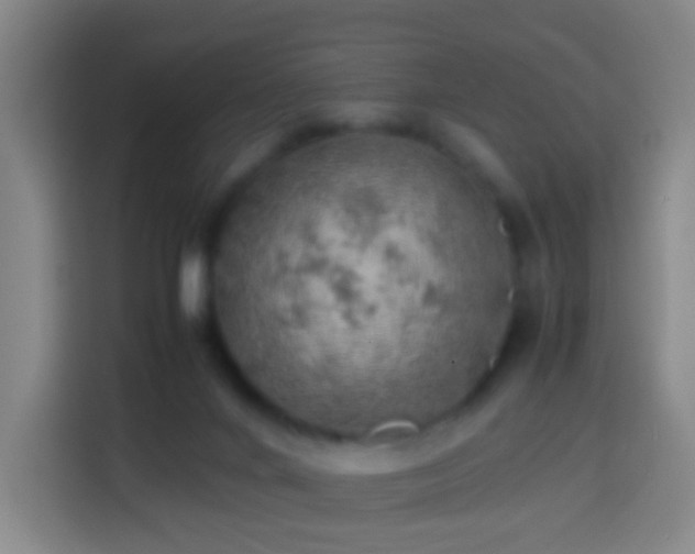 X0000113780024200909301158