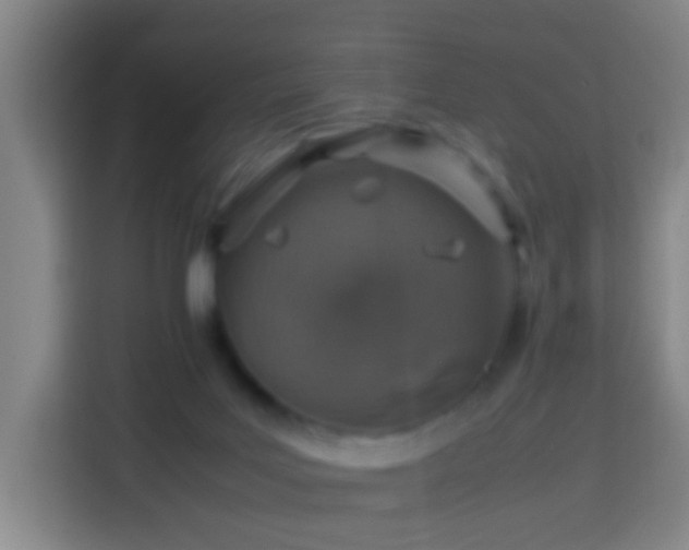 X0000113780027200909301158