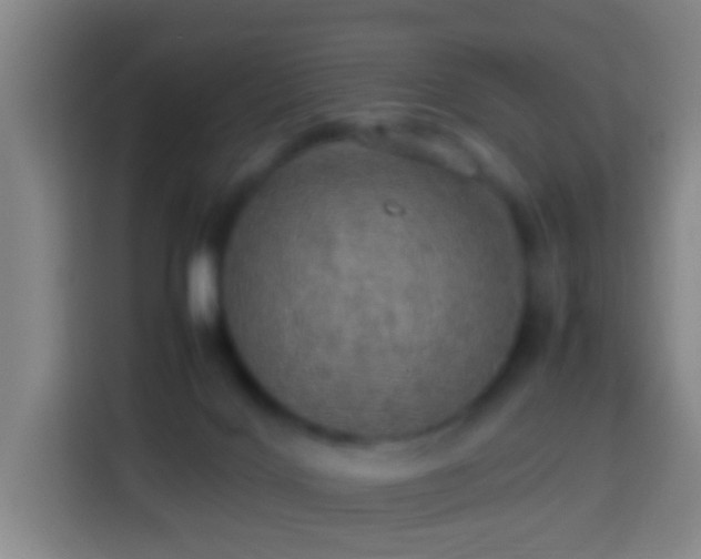 X0000113780028200909301158