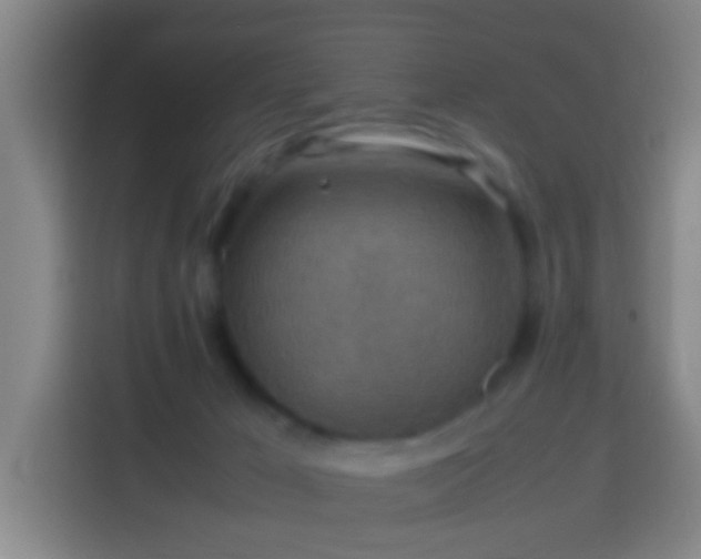 X0000113780029200909301158