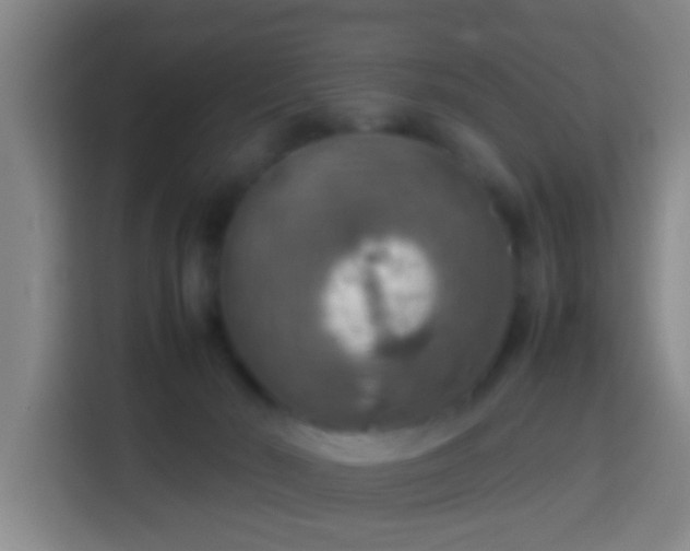 X0000113780030200909301158