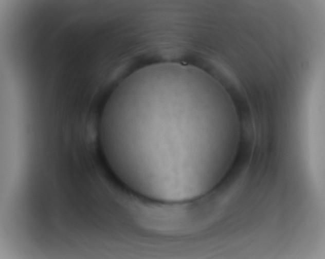 X0000113780032200909301158