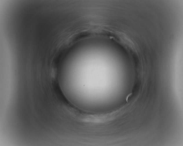 X0000113780033200909301158