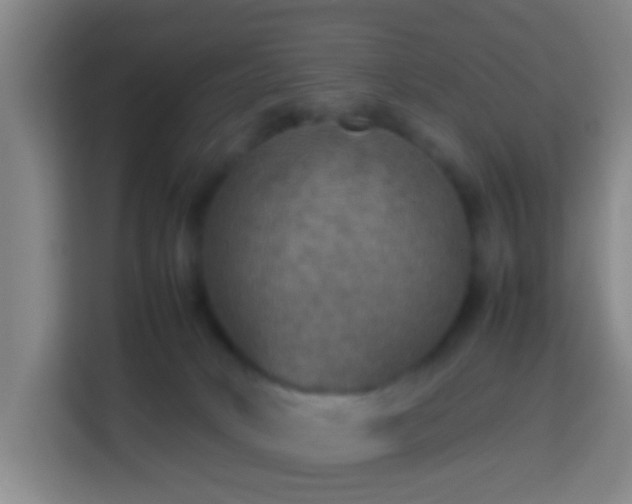 X0000113780034200909301158