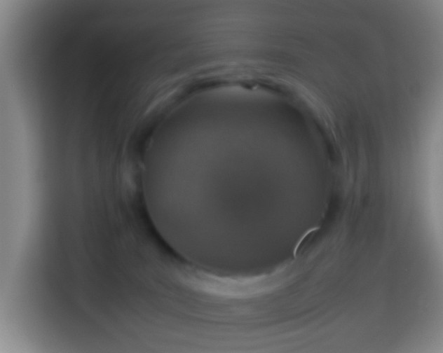 X0000113780035200909301158