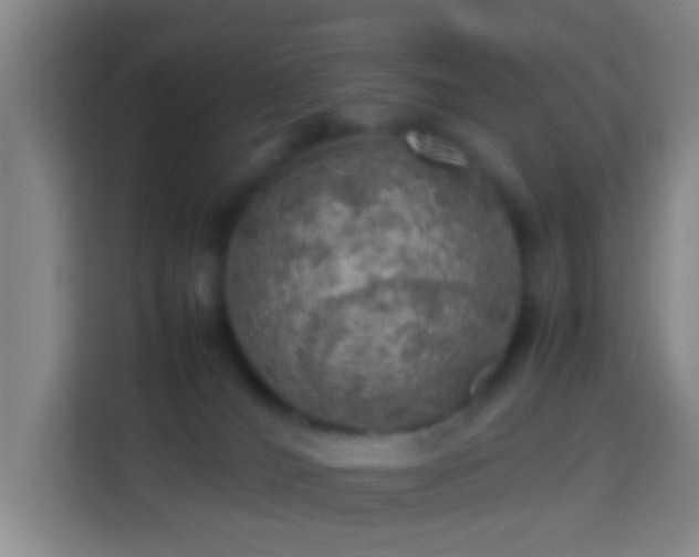 X0000113780036200909301158