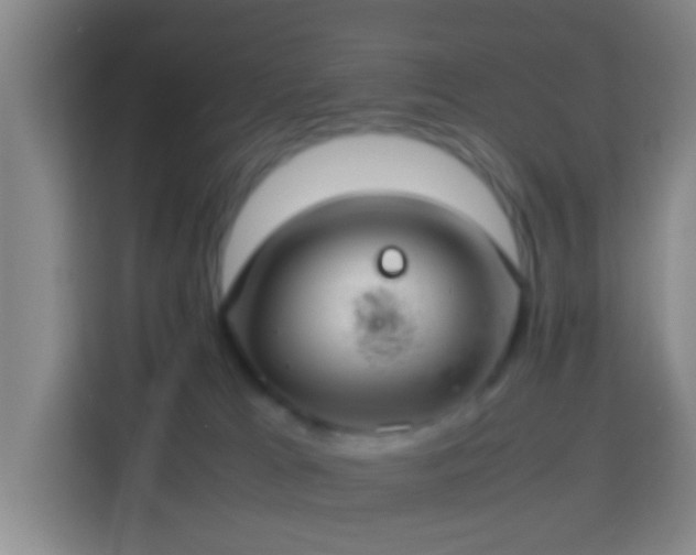 X0000113780037200909301158