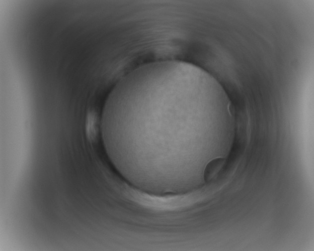 X0000113780038200909301158