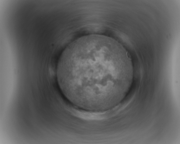 X0000113780040200909301158