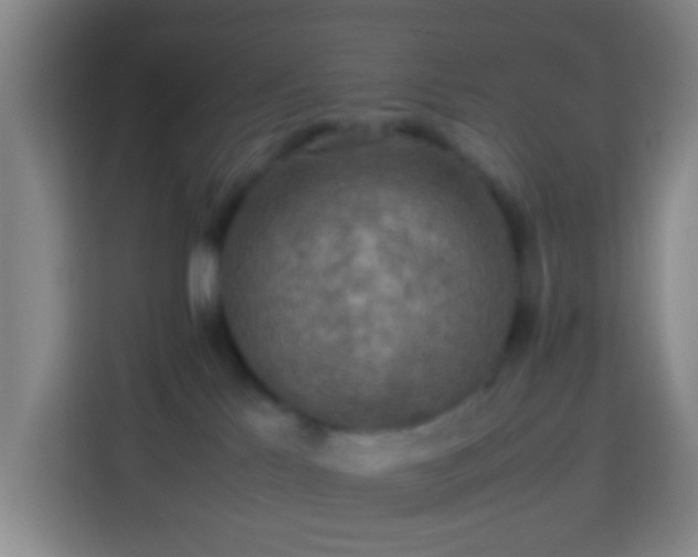 X0000113780041200909301158