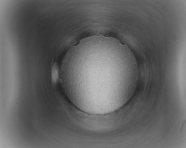 X0000113780042200909301158