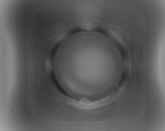 X0000113780043200909301158