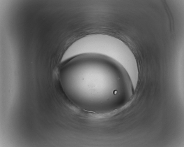 X0000113780045200909301158