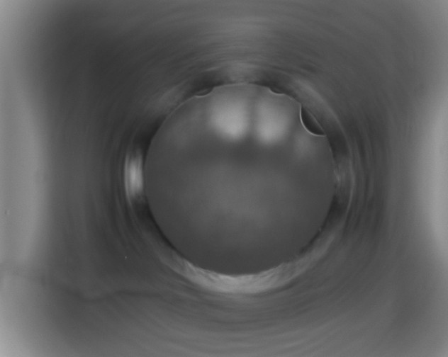 X0000113780046200909301158