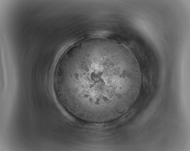 X0000113780049200909301157