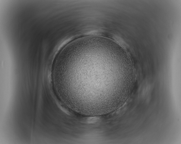 X0000113780050200909301157