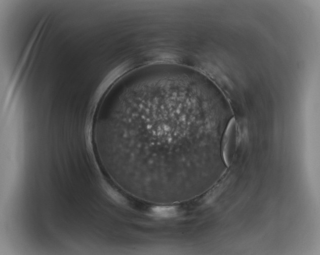 X0000113780051200909301157