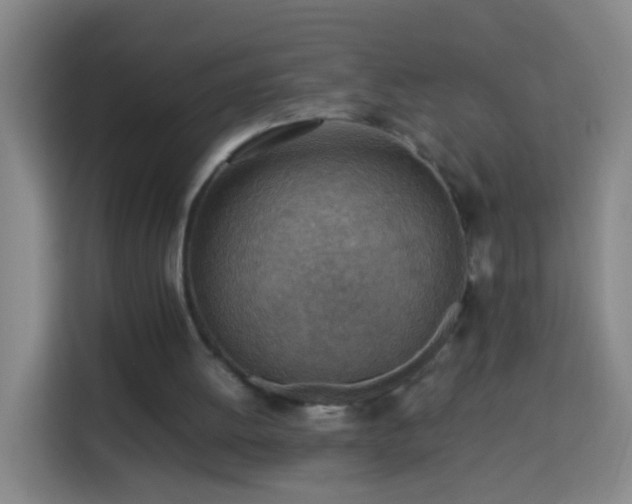 X0000113780052200909301157