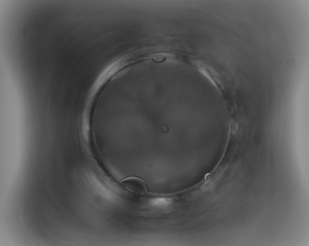 X0000113780053200909301158