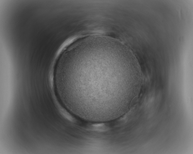 X0000113780054200909301158