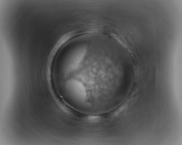 X0000113780055200909301158