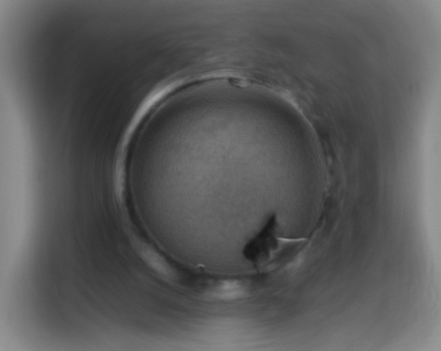 X0000113780056200909301158