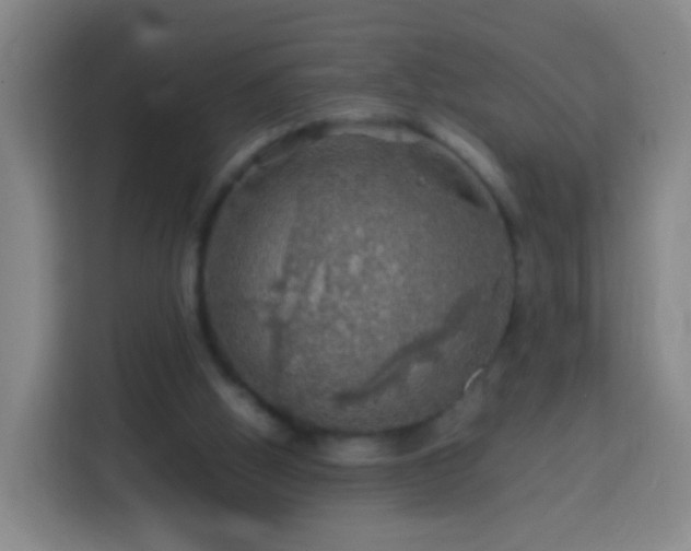 X0000113780058200909301158