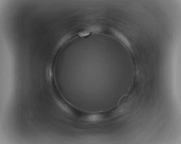 X0000113780059200909301158