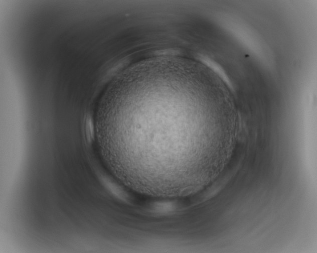 X0000113780061200909301158