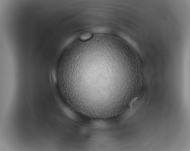 X0000113780062200909301158