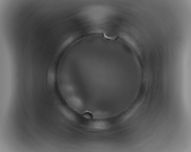 X0000113780063200909301158