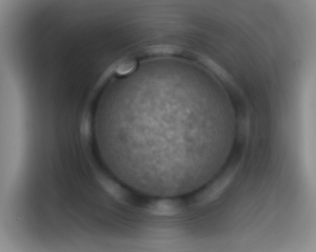 X0000113780064200909301158