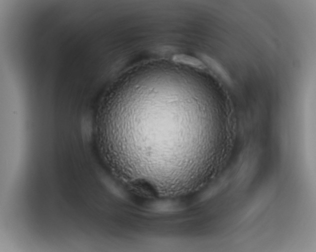 X0000113780065200909301158