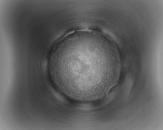 X0000113780066200909301158