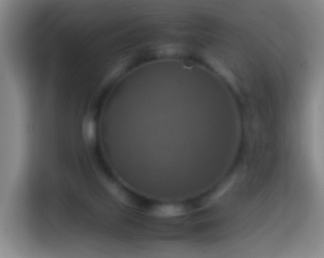 X0000113780067200909301158