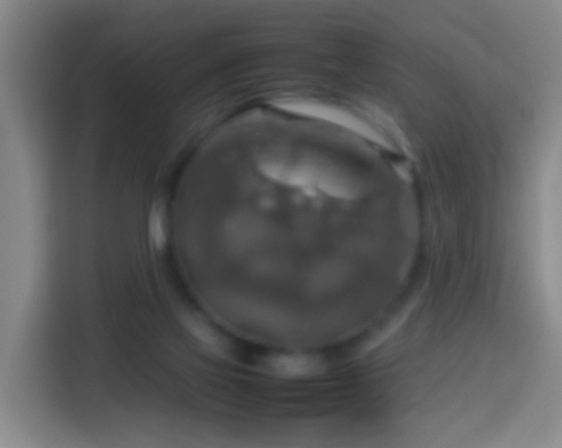 X0000113780069200909301158