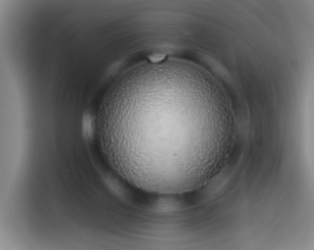 X0000113780070200909301158