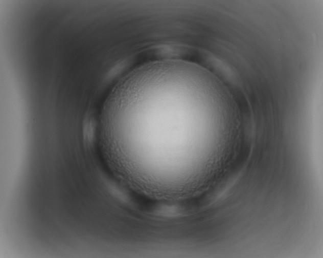 X0000113780071200909301158