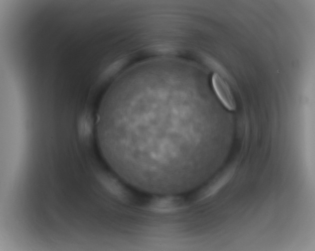 X0000113780072200909301158