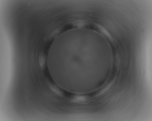 X0000113780073200909301158