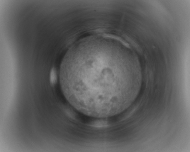 X0000113780075200909301158