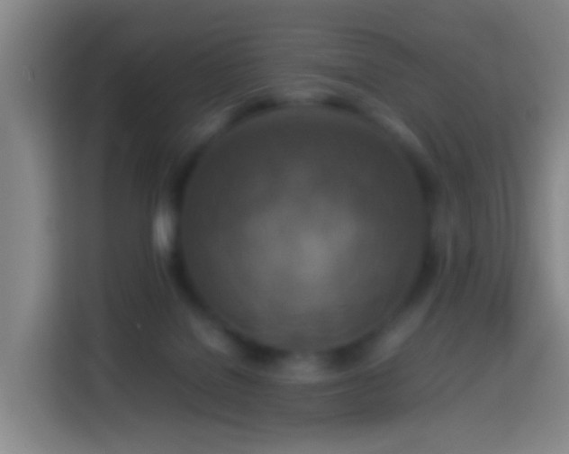 X0000113780076200909301158