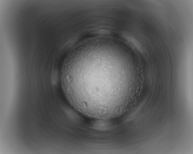 X0000113780077200909301158