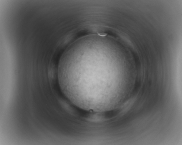 X0000113780078200909301158