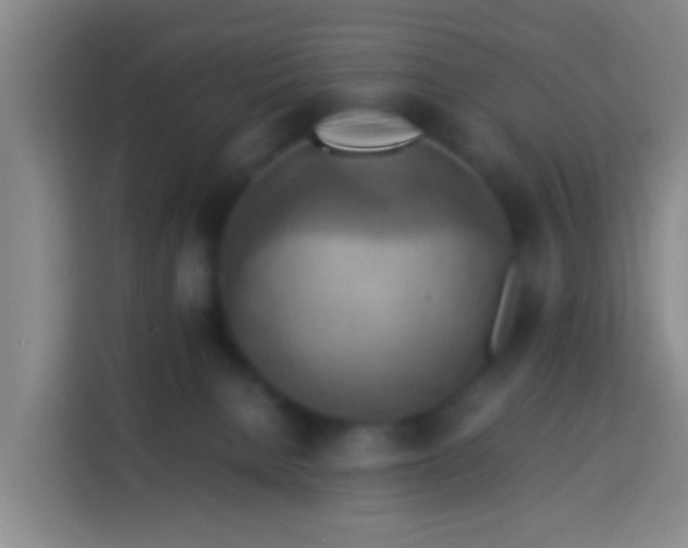 X0000113780080200909301158