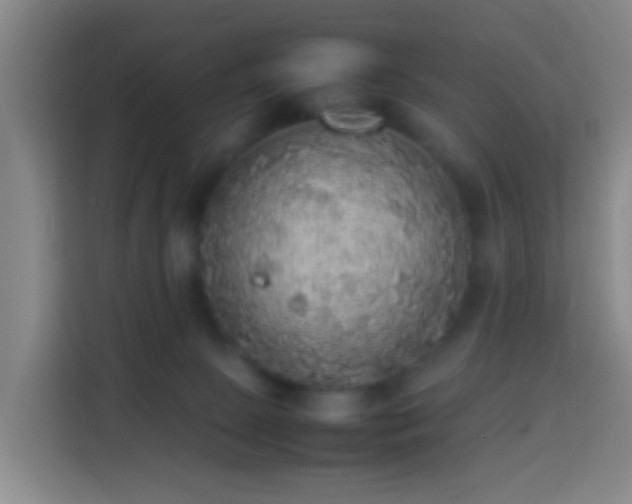 X0000113780081200909301158