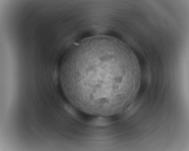 X0000113780082200909301158