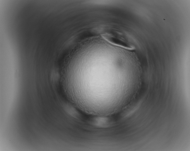 X0000113780085200909301158