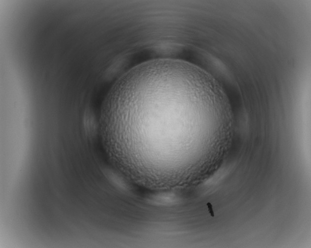 X0000113780086200909301158